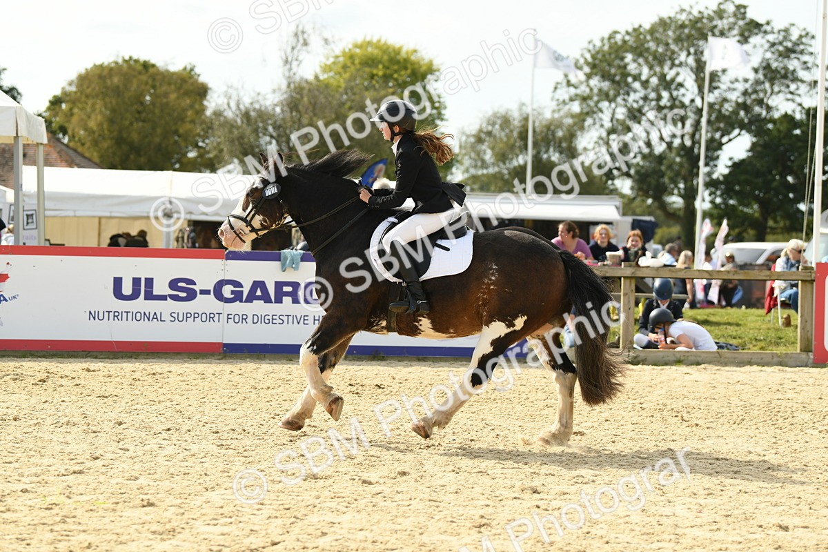 SBM_69290 - J15 - Junior Pony 70cm Championship