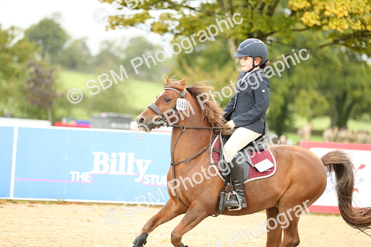 SBM_34219 - J60 Clear Round 50cm