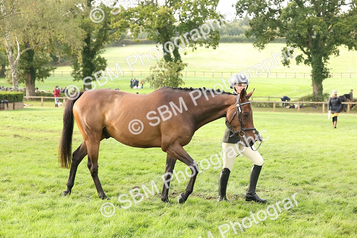 SBM_54662 - S53 - Hunter In Hand