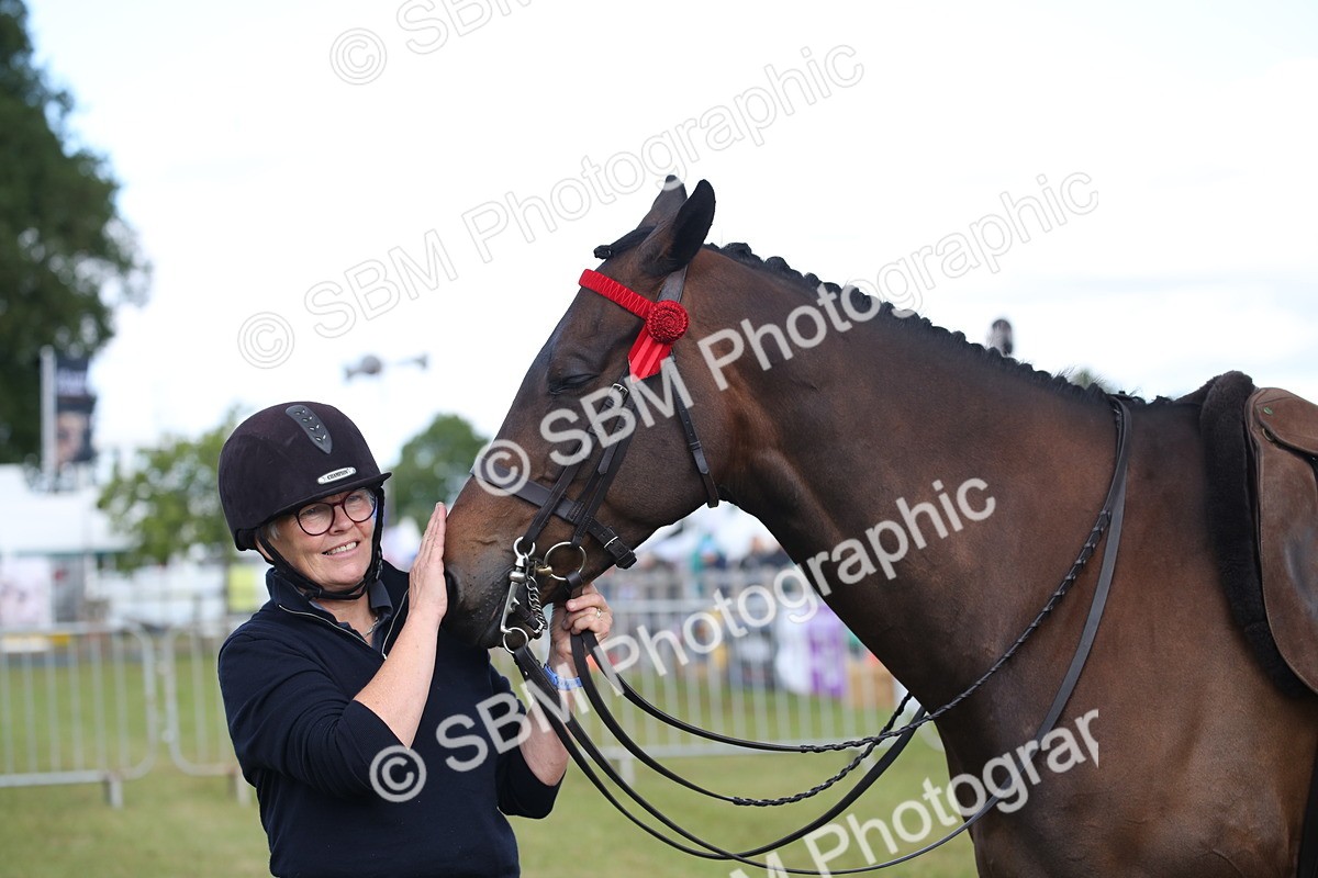 SBM_13264 - Class 95-96 - LIHS BSHA Rising Star Hack Riding Horse