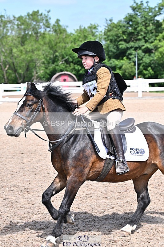 250517-114801-00995 - 40cm