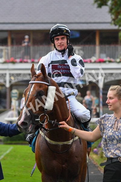 100923-Race 7-Looking For Lynda-1297 - Race 7 4.55pm Brian Taylor 50 Not Out Apprentice Handicap