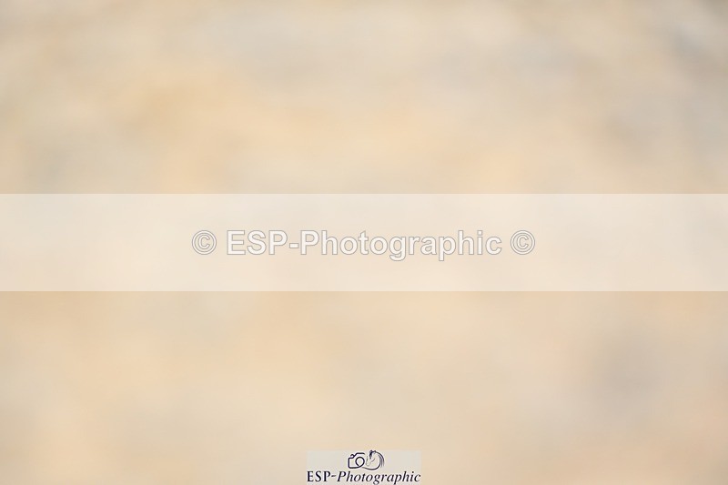 230813-093710-05911 - Cls 12 Elem Silver Start to 10.10 break