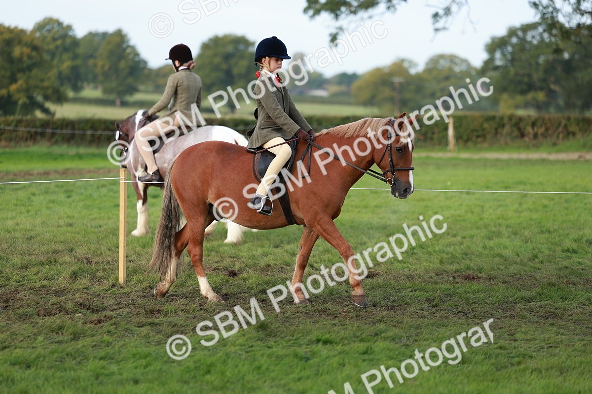 SBM_56273 - S39 - Starters In Hand Showing