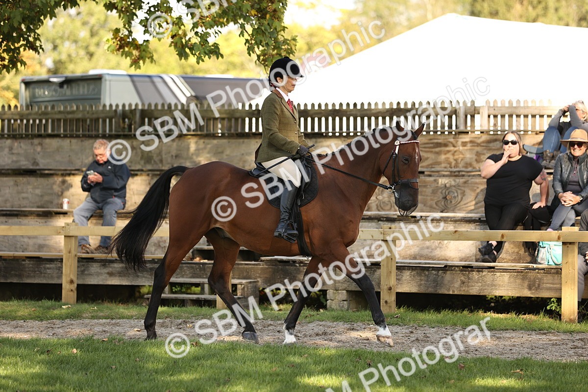 SBM_26452 - S6 - Novice & Newcomers Ridden Horse