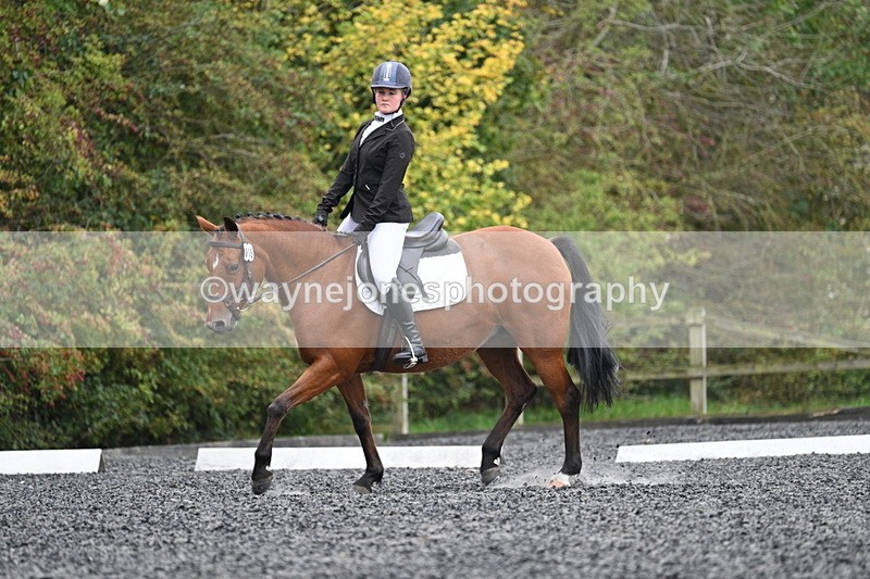 WJ7_3570 - Time 11:04 to 11:38