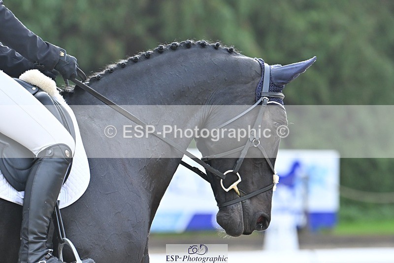 231019-103843-01914 - 102-BAGHEERA-Althea.Bleekman-DR