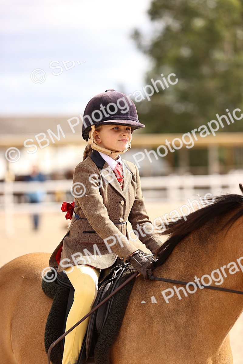 SBM_15956 - Class 416 - Prettiest Mare (IH or Ridden) Jnr