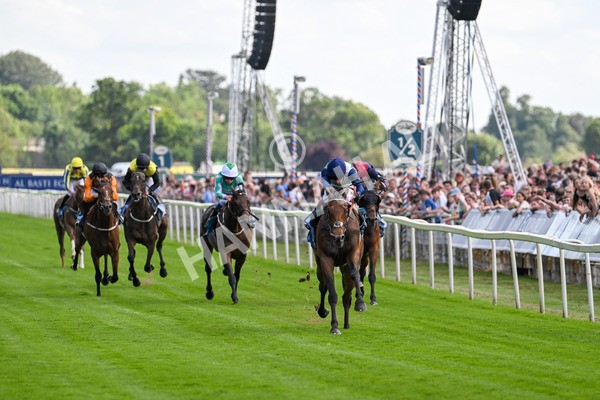 280625-Race 5-Turquino-0763 - Race 5 4.15pm Al Basti Equiworld Dubai Handicap