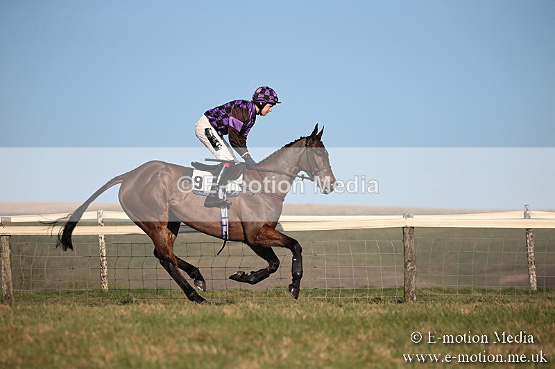 PtP 230219 493 - Vine & Craven Point-To-Point - Barbury 23/02/19