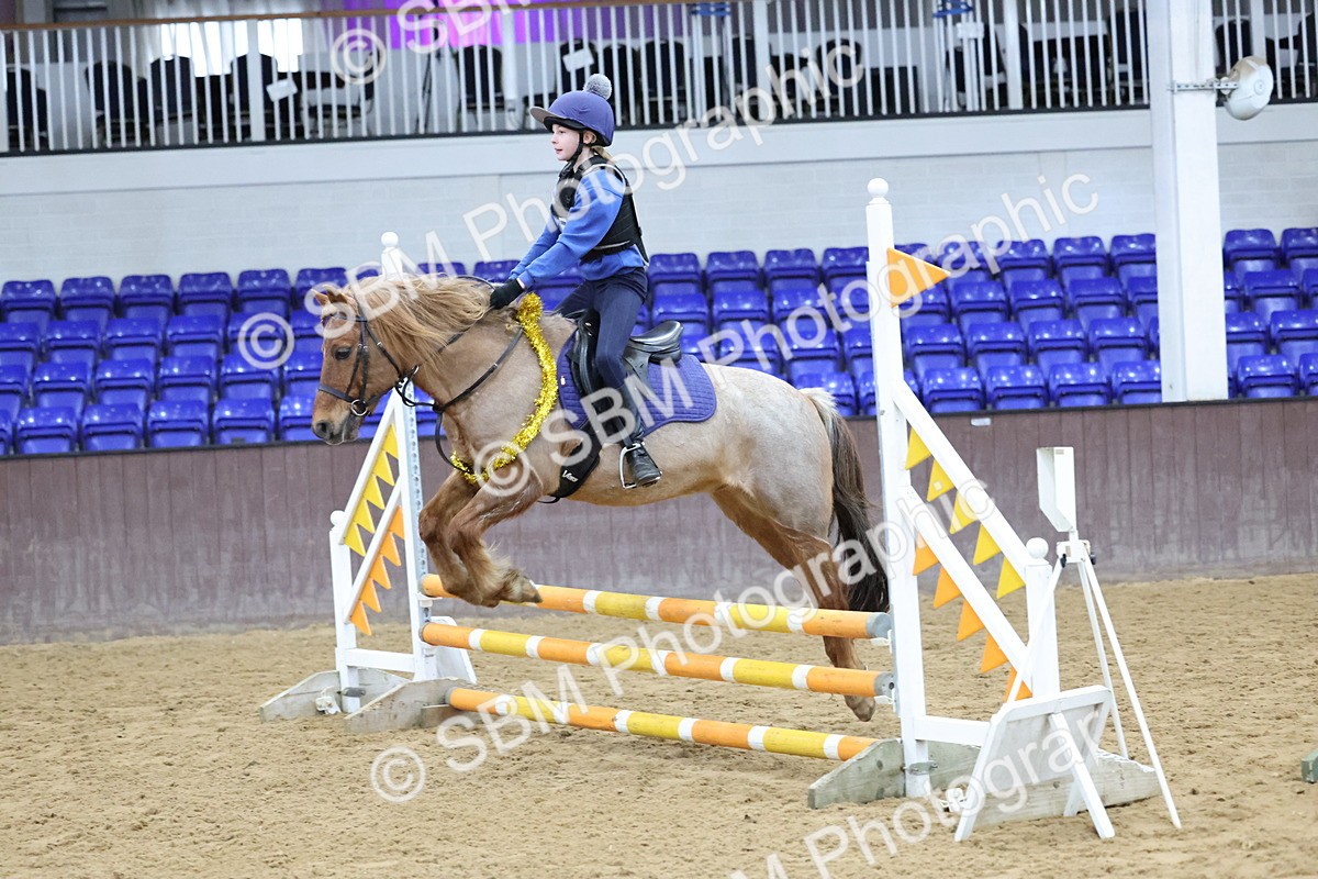 SBM_001086 - Class 3 - Christmas Tree Stakes - 60cm