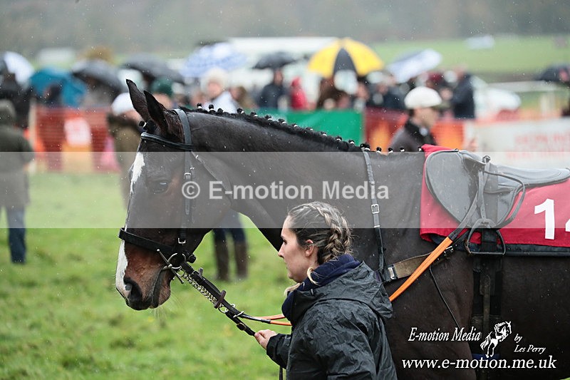 PtP 091125  0248 - Point-to-Point Wales Area Club Lower Machen, Gwent 09/11/25