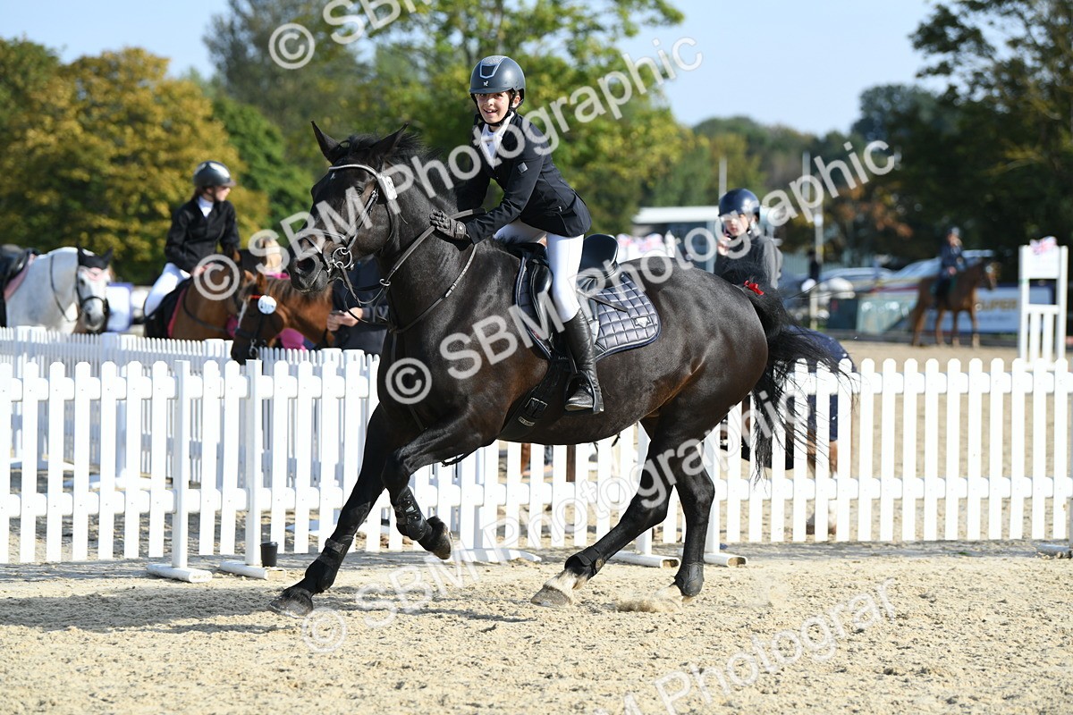 SBM_60548 - j25 - Junior Horse 80cm Championship