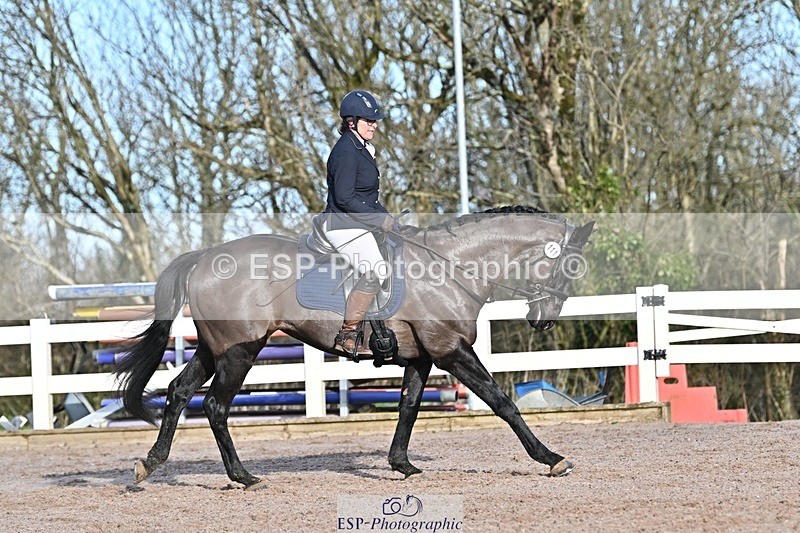 250125-103059-00195 - Dressage - CT Class 4 BE95 (80cm)