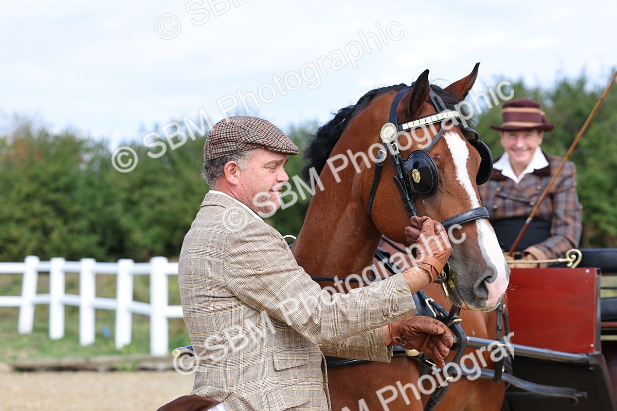 SBM_000938 - Class 8 - Novice Horse or Pony to any vehicle