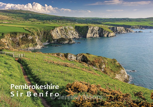 F10 - Fridge magnets