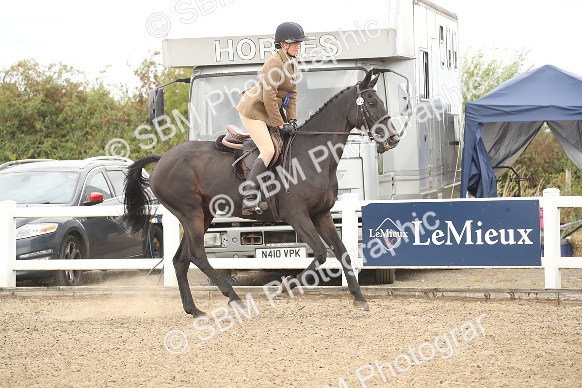 SBM_16846 - Class 507b - Working Veteran 60cm (20+)