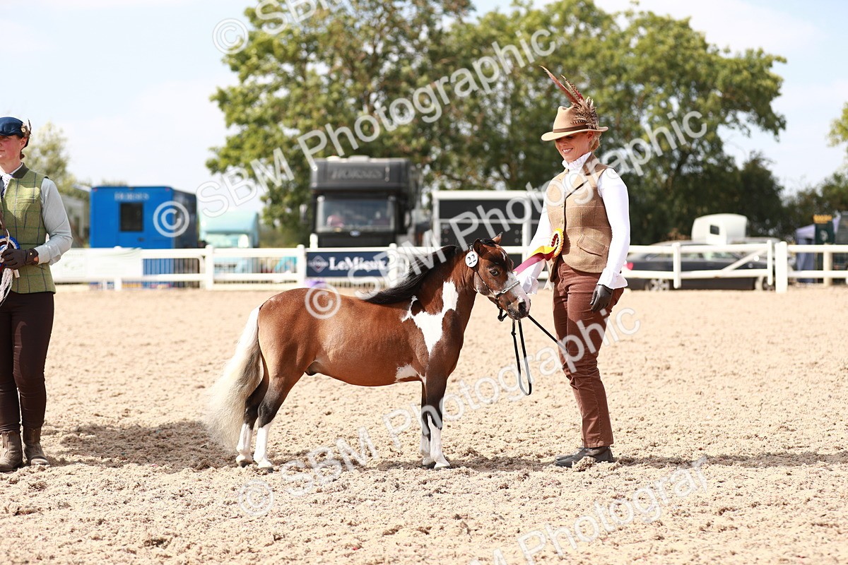 SBM_13949 - Class 209 IH Veteran Pony