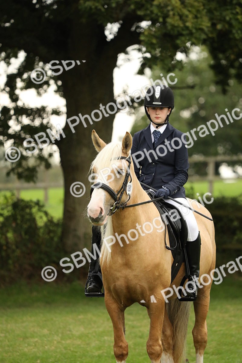 SBM_73822 - S41 - Ridden Equitation (Best Rider)