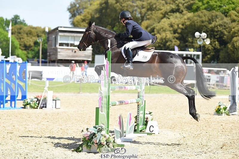 230528-113644-15287 - 320-CAVALIER_GUNFIRE-Tabitha_Baker-SUNTrotUp+SJ