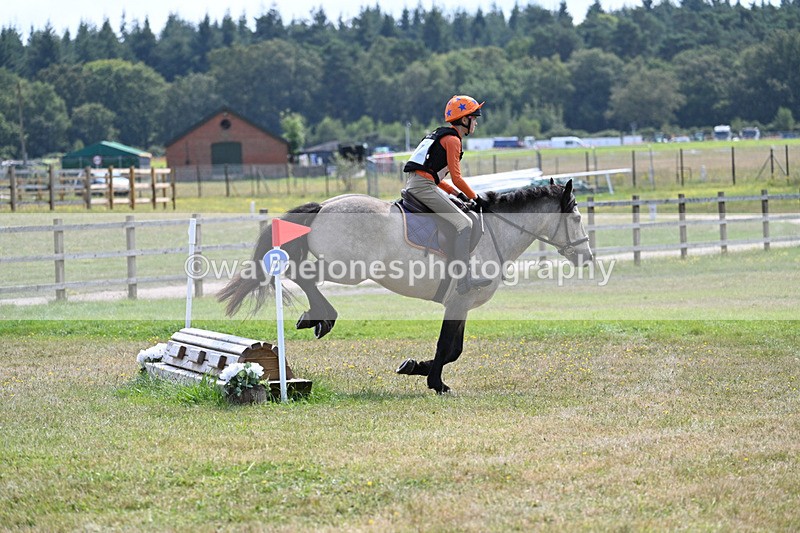 WJ7_2308 - 60cm Time 13:02 to 13:20