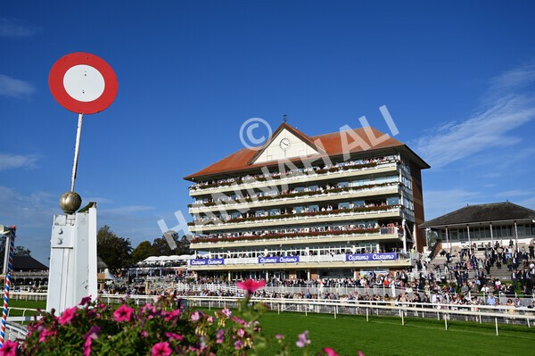yr08102021r4-19 - Race 4 3.50pm Casumo Dare To be Different Handicap