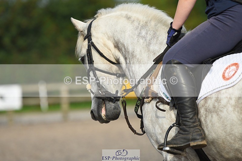 230817-085512-01589 - Kay's 1st Group - Arena