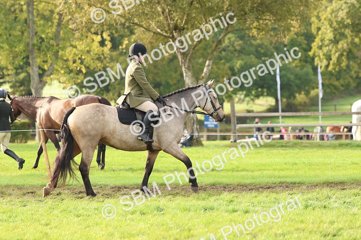 SBM_56516 - S40 - Starters Ridden Showing