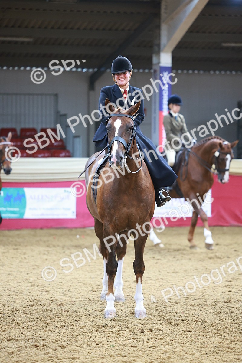 SBM_12651 - Class 103 - HOYS Veteran Qualifier - Ridden Pre Vet