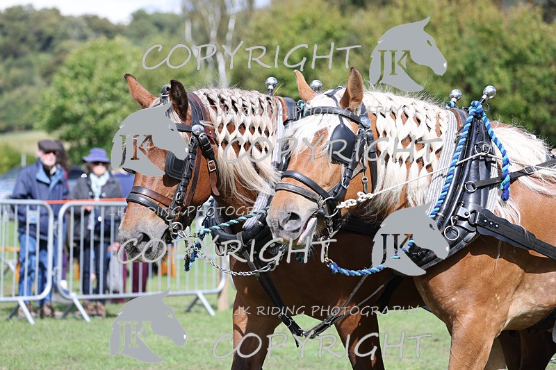 APP_3602 - Class 7 Turnout for a single or pair