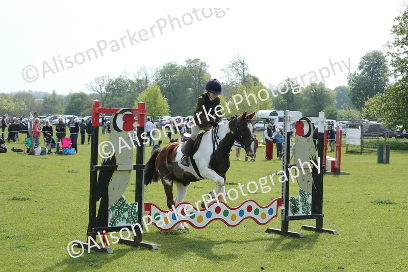 20260426-1596 - Class 14 - Novice 60cm