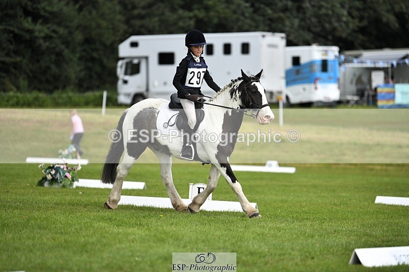 230826-113027-15888 - Sections C & D 10 to End