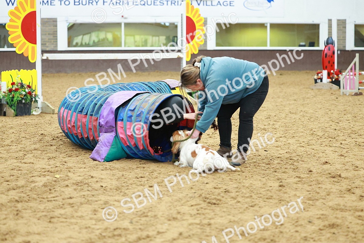 SBM_002541 - Class 3 - Horse & Hound (60cm)