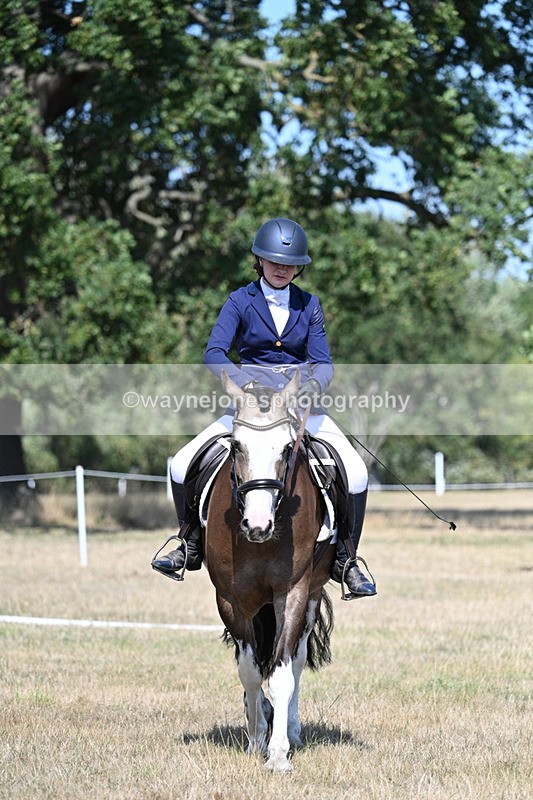 WJ7_0185 - Time 11:03 to 11:28