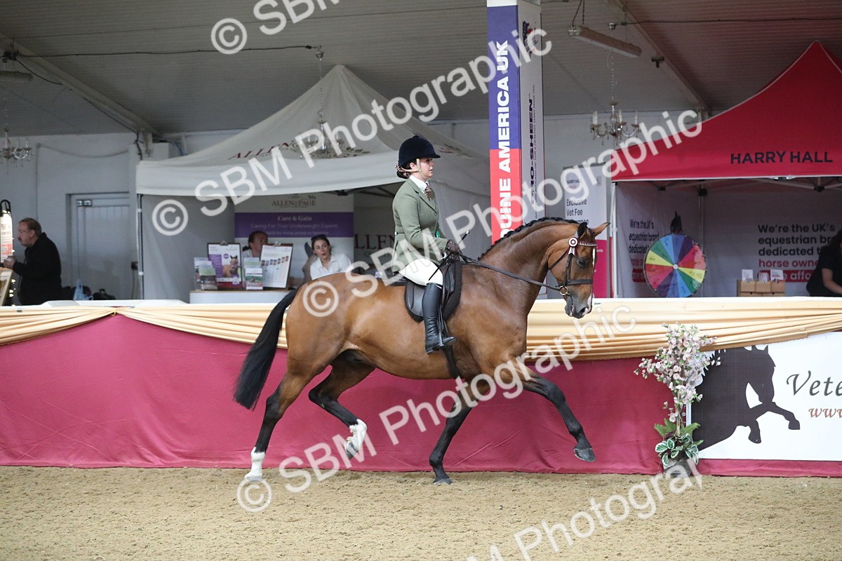 SBM_10479 - Class 102 Equitation (best rider) Adult