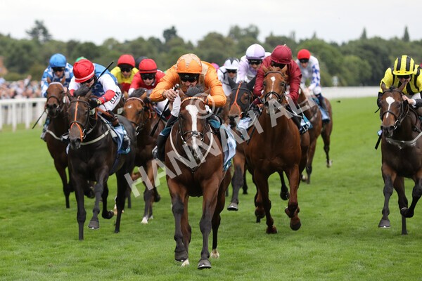 yr17082022r7-24 - Race 7 5.20pm Sky Bet Nursery Handicap