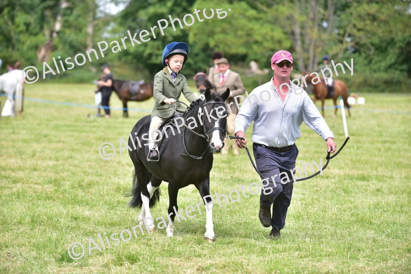 20260614-1383 - Class 11b - Lead Rein Pony (Plaited)