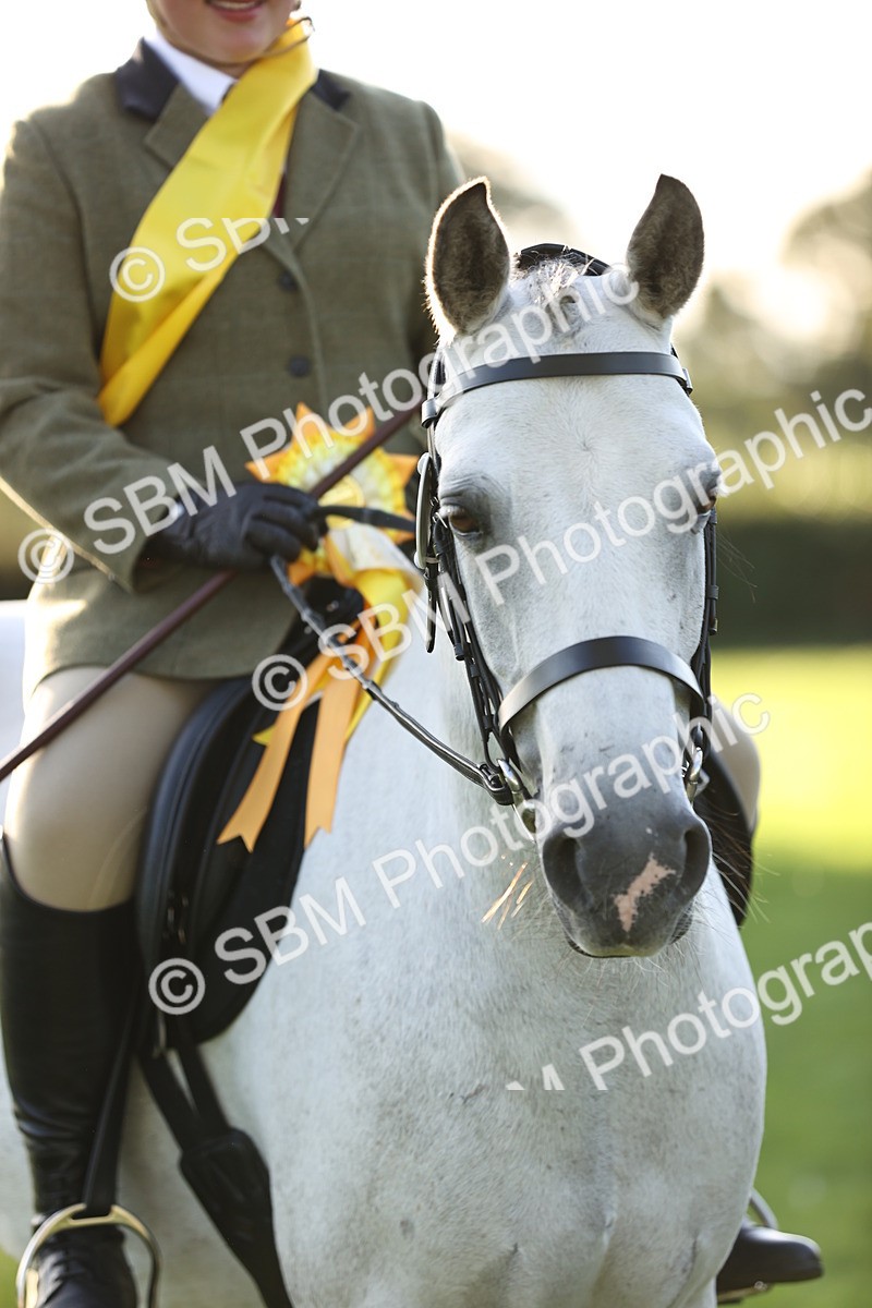 SBM_29639 - S7 - Novice & Newcomers Ridden Pony