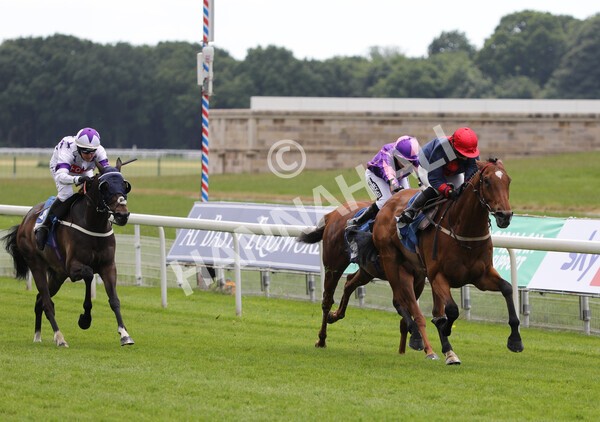 yr12062021r1-24 - Race 1 2.00pm Queen Mother's Cup