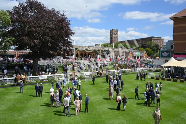 yr12062021r2-13 - Race 2 2.35pm The JCB Stakes