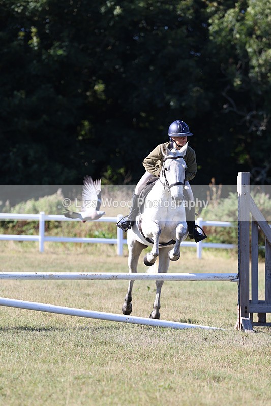3E7A5409 - Class 3: Working Hunter 70cm