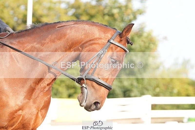 250817-085416-07369 - 146-Jean.BucklandCourt.Esquire