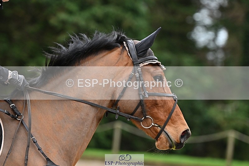 250201A-120539-00587 - Cls 02 Local Horse 100cm