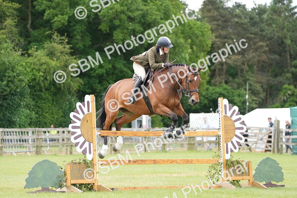 SBM_14968 - Class 100-102 - RIHS Working Hunter