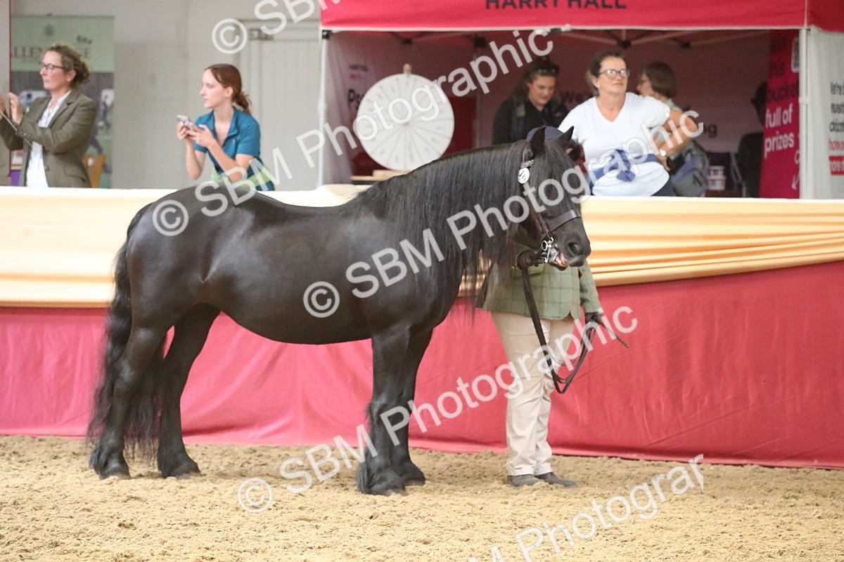 SBM_05565 - Class 9R - Regional IH Pre-Vet