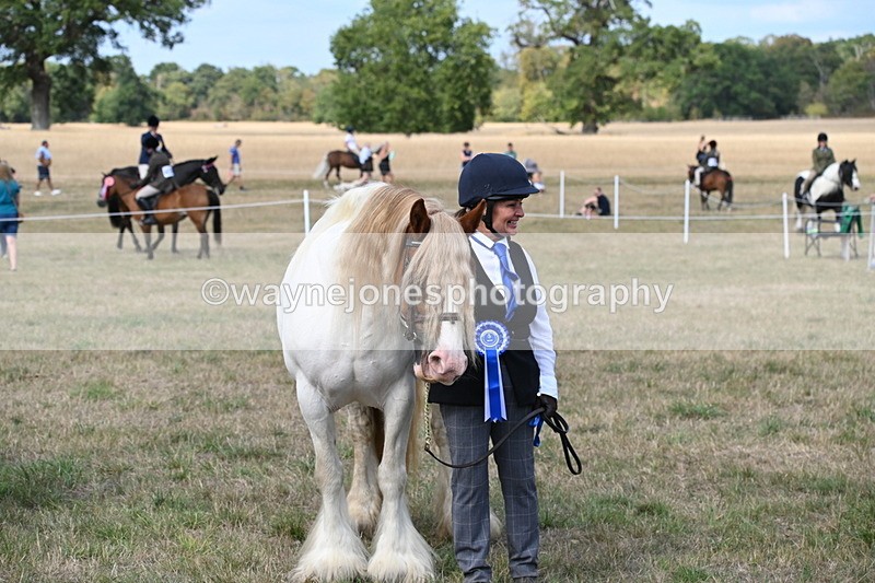 WJ6_6757 - Class 20 In-hand Cob