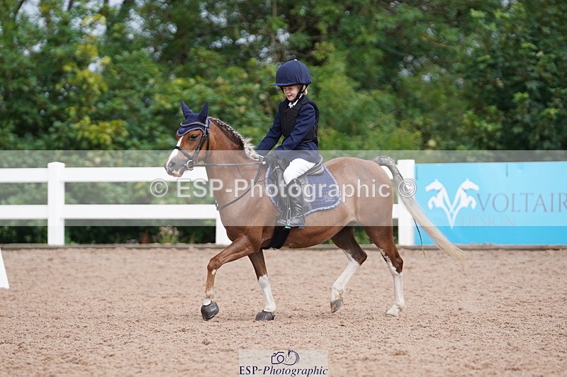 240809A-100538-00419 - Dressage Competition