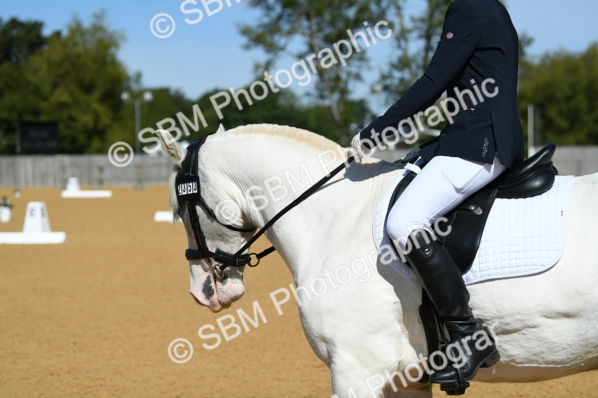 SBM_20706 - D13 - Grand Tour Championship - Prelim 12