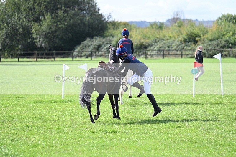 WJ7_8522 - 60cm Pairs