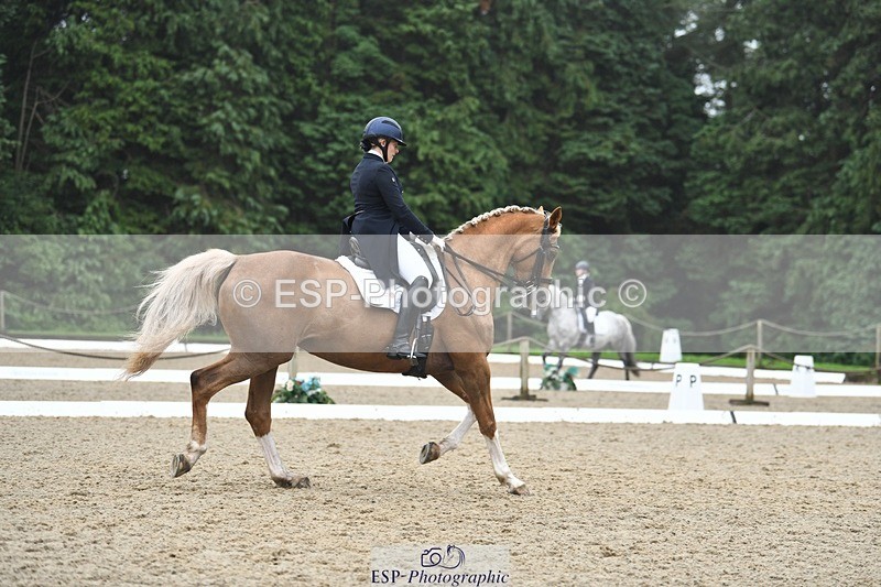 240720-144730-05808 - 187-Clare_Smith-Dori_Dragon_Fly